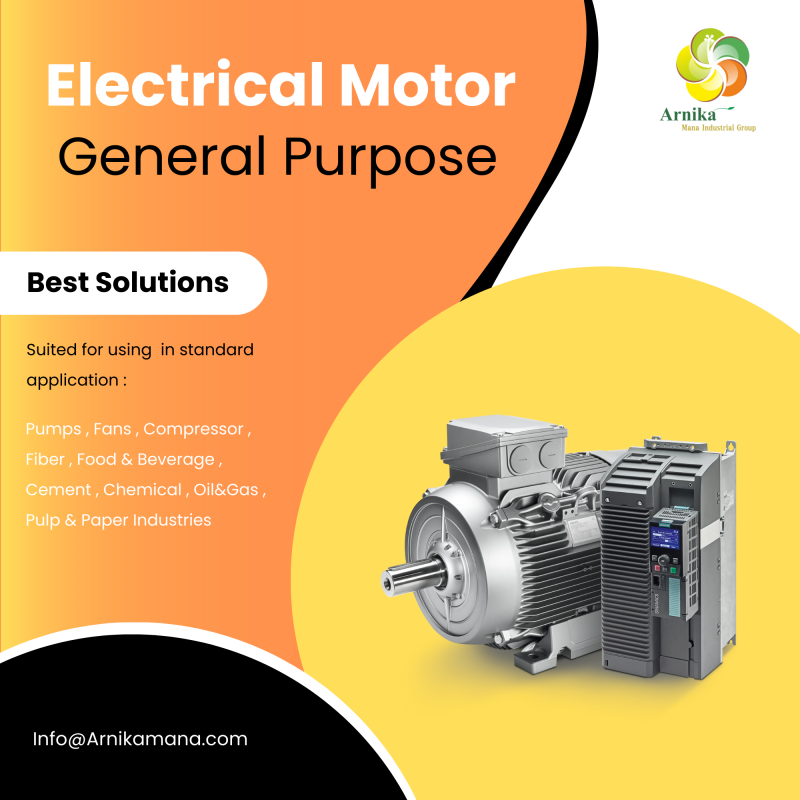 Electrical Motor